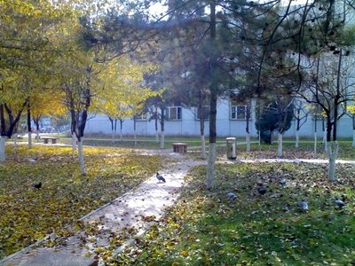 网络平台娱乐游戏大额不给取款怎么办关键问题解析