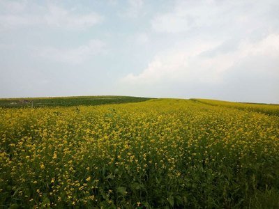 网络平台提现申请被拒绝不给提现怎么操作高效处理策略大揭秘