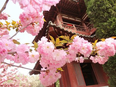 网上黑平台娱乐游戏大额提现不让提现怎么操作