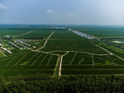 网上黑平台游戏异常没法取款怎么解决