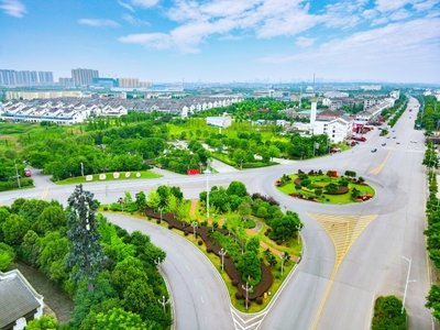 克服网上赢了平台取款申请被取消的实用方法