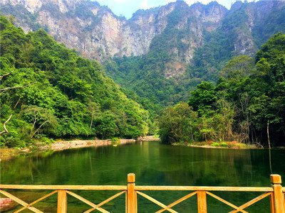 网上平台各种借口一直不给提现怎么解决