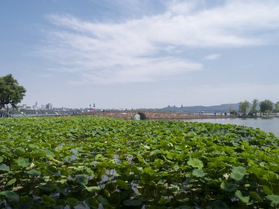 水熊虫的极端生存