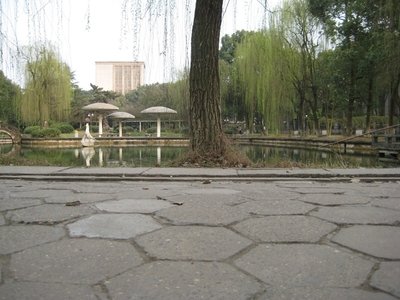 网上黑平台提现审核遭遇卡单怎么办