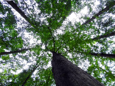 网上平台账号异常无法正常取回资金该如何应对