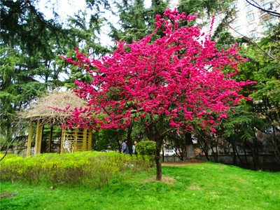 数字化转型：科技如何推动行业进步？