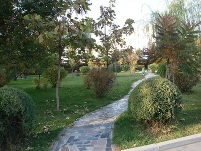 如何打造高效而舒适的日常生活