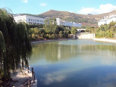 自制冰棍的创意造型