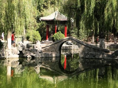 生物奥秘：细胞如何执行复杂的生物任务