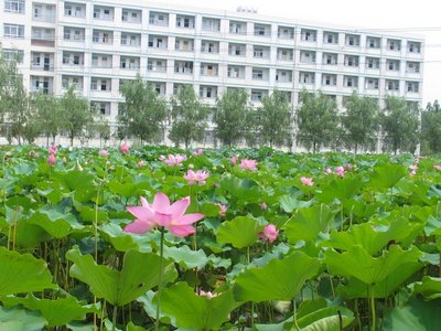 如何通过消费理财养成好习惯