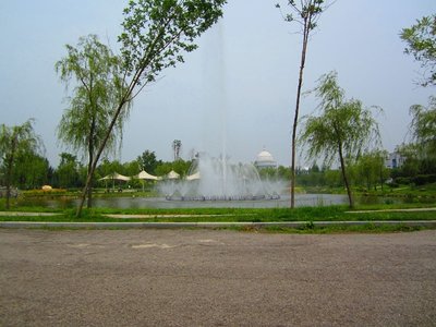 高情商者会记住他人细节