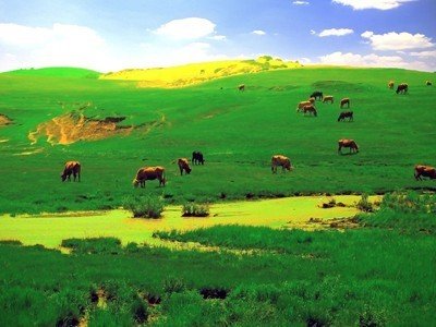 游戏平台各种理由不给提现如何追回损失