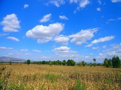 平台出款线路维护没法出款怎么办
