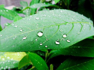 抽屉滑轨上油润滑法