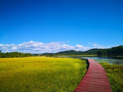 情绪失控的情绪调节缺陷