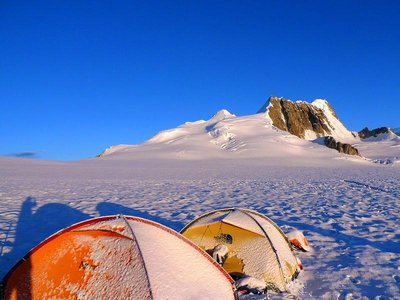 甜竹笋甜的成分构成