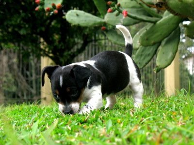 网上平台各种理由一直不给出款用户维权困境何解