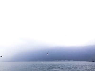 网上黑平台各种理由不给取款分享维权办法