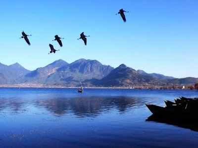 游戏平台取现通道被封禁如何避免拒绝出款