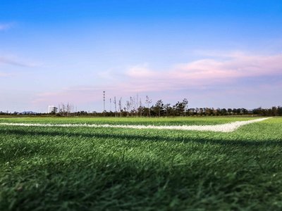 网络平台提现通道维护出不了款如何解决