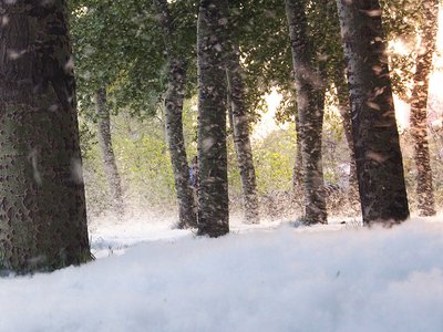 网上黑平台各种理由不给取款怎么处理