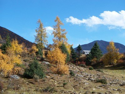 网络平台取款申请被拒绝的处理方法