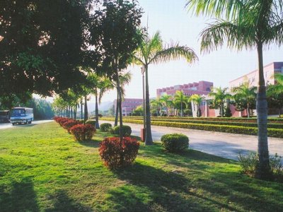 为什么锻炼能增强体质