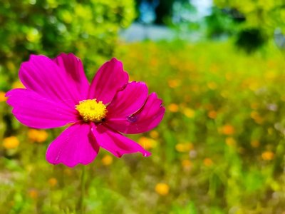 提现问题网上平台客服回复取款端口维护拒绝提现怎么办