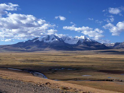 豆角开花结荚的温度要求
