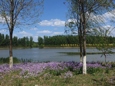 平台提现操作已被停用取不了款如何解决