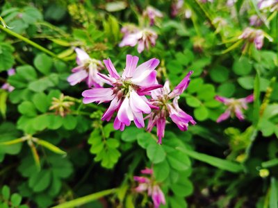 拒绝受骗如何判断网上被黑平台取现申请一直被取消不给出款的真伪