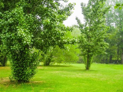 常见观赏鱼种类及饲养经验
