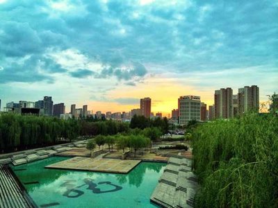 昆虫的适应性与生物多样性