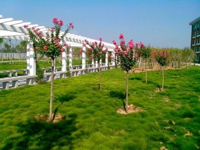 游戏平台各种借口不给取款如何止损