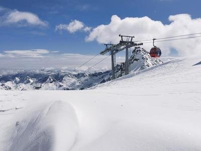 观赏鱼饲养技巧与注意事项