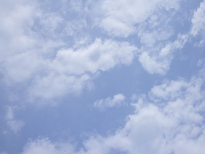 网上游戏黑平台上赢了拒绝取款找出黑工作室能操作吗