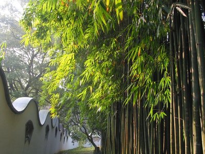 网络平台提现遇难该怎么应对