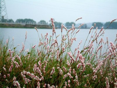 从智能交通到智慧城市，科技如何推进？
