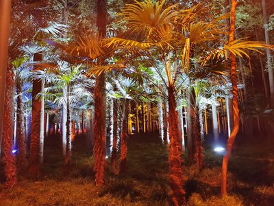 如何通过亲自教育培养孩子的自我反思能力？