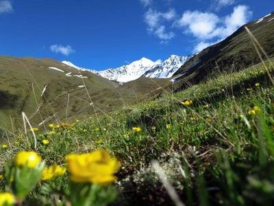 运动与减肥：如何让运动成为健康生活的一部分