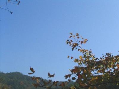 如何通过消费理财管理你的财富