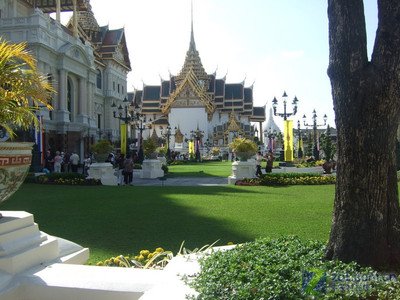 罗汉竹秆形奇特的遗传