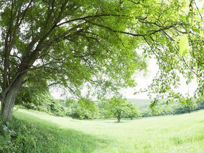 如何为卧室挑选合适的床垫？