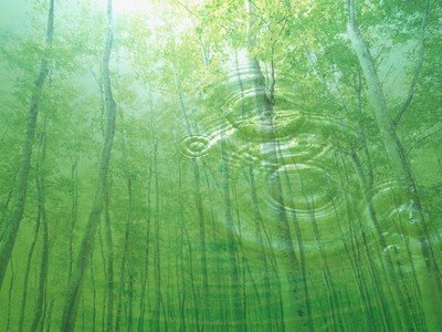 平台打码量不够没法出款怎么追回