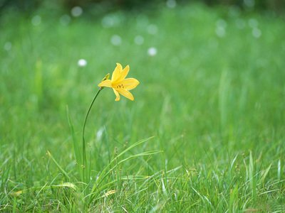 提现遇到难题该怎么办