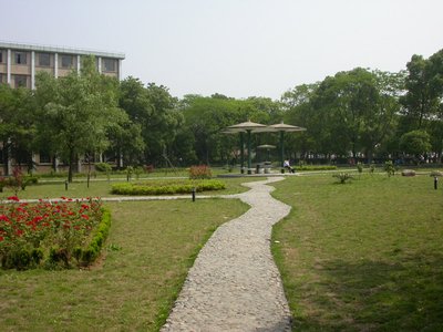 洗衣机除螨清洁技巧