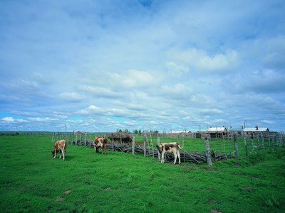 剩饭做炒饭加蔬菜更营养