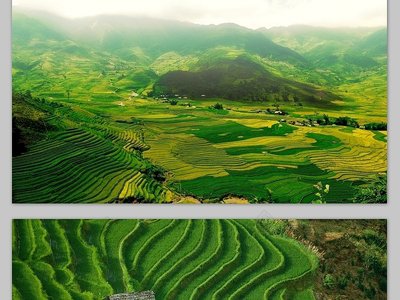 如何通过饮食调节血糖水平，防止糖尿病