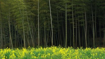 黑平台取款申请被取消赢了不给取款怎么处理