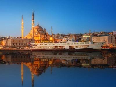 森林植被：恢复地球生态的关键因素